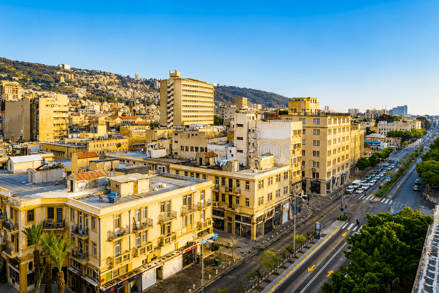 تسويق وإدارة الميديا